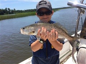 speckled seatrout