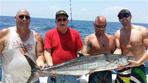 king mackerel