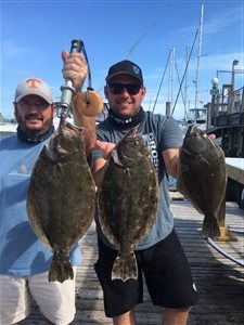 flounder