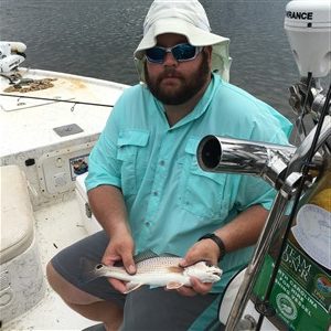 red drum fish