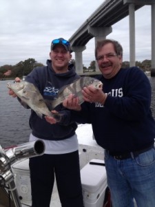 black drum