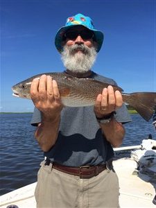 inshore redfish