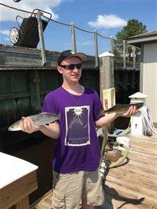 speckled trout