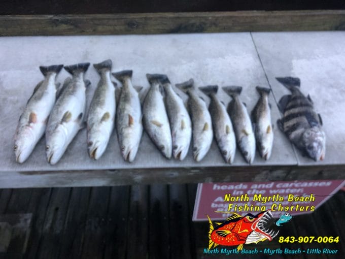 Inshore Fishing Myrtle Beach SC