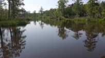 Cypress Cove Park