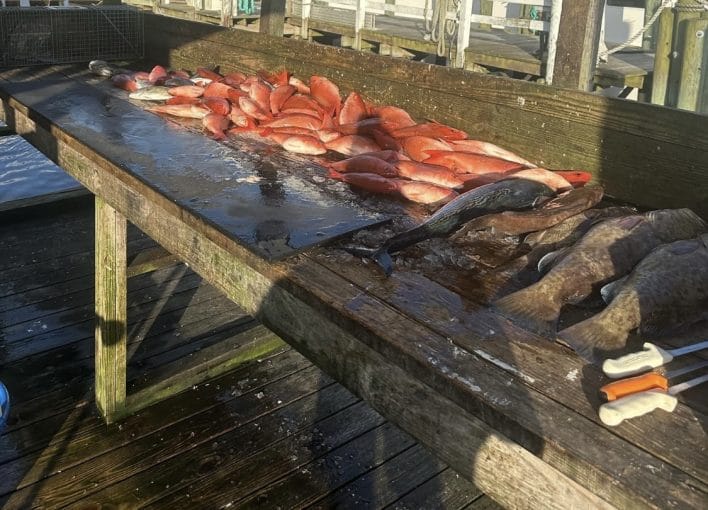 fish laying on a table about to be cleaned on a deep sea Fishing Charters in Myrtle Beach Fishing Charters Near Me