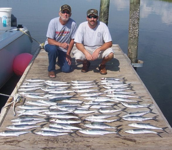 Spanish mackerel caught on a nearshore fishing charter from North Myrtle Beach