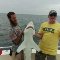 Shark Fishing Charters In Myrtle Beach SC Shark Fishing Charters In Myrtle Beach SC